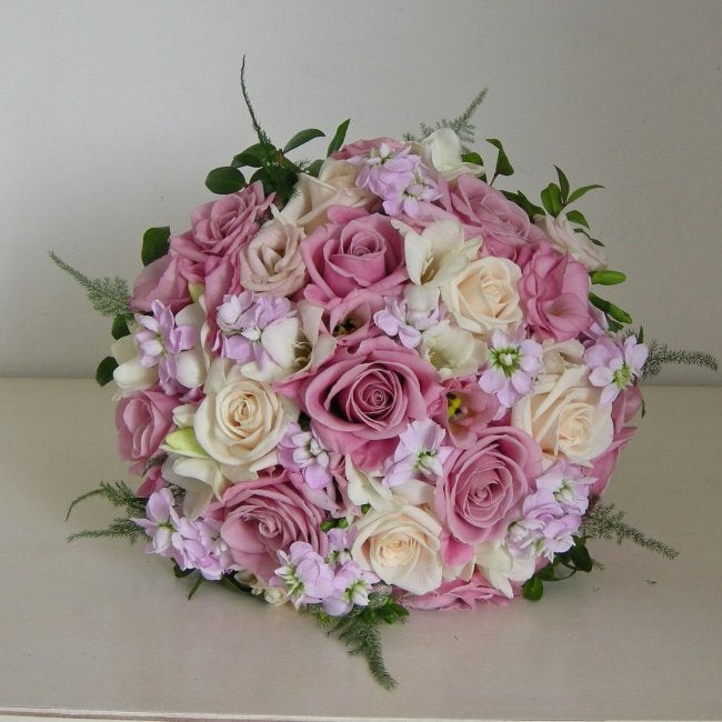 Soft Pink Lady