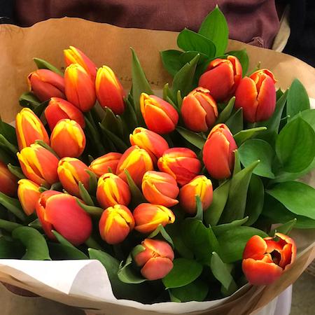 Clementine Tulips and Ruscus