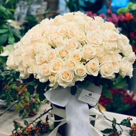 Cream White Roses