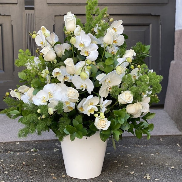 Porcelain and green