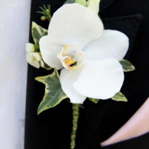 Orchid Groom