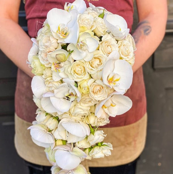 Orchid Cascade