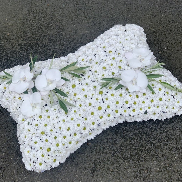 OrchidandChryssanthemum Cushion