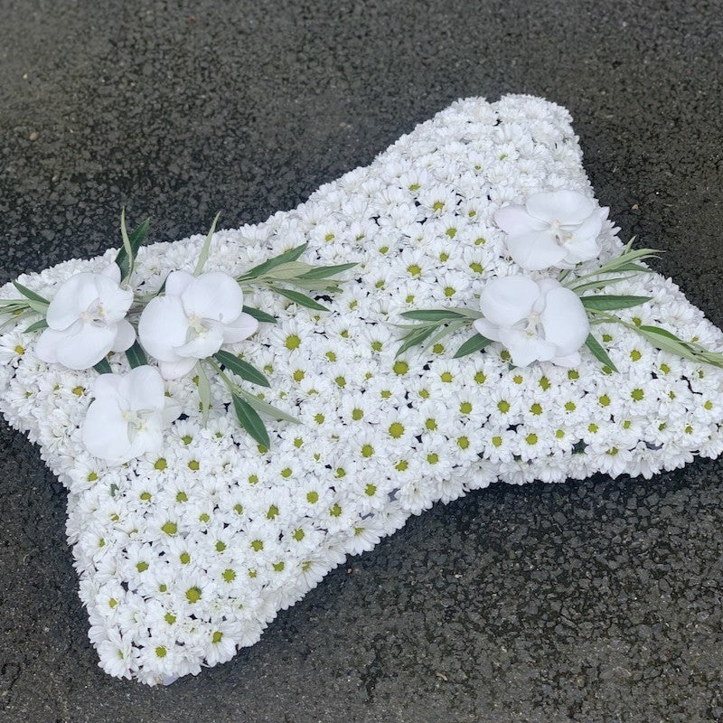 OrchidandChryssanthemum Cushion