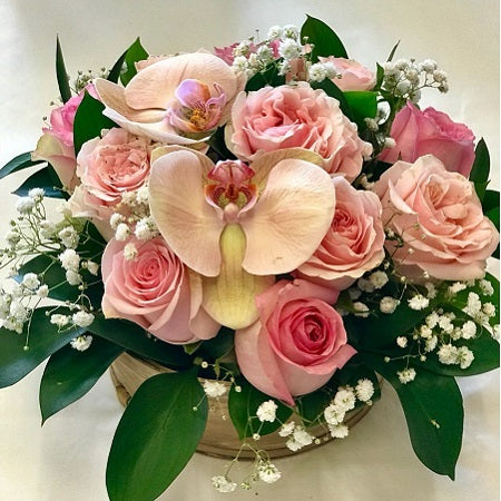 Peach Rose