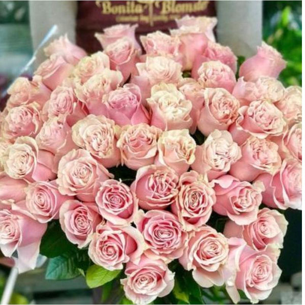 Pink Mondial